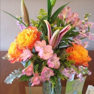 Meet your Posher, Kelly